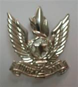 AIR FORCE BADGE