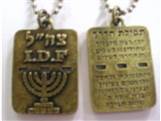 BRONZE DOG TAG IDF - MENORA