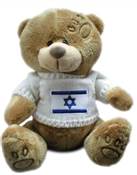 A TEDDY BEAR WITH AN ISRAELI FLAG