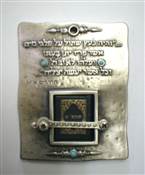 TEHILIM PLATE 8082 