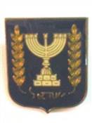MENORA PIN