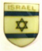 SHIELD SHAPE FLAG PIN