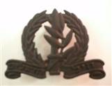 INFANTRY CORPS BADGE