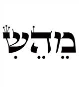 "KABBALAH LETTERS SHIRT - "MEHESHI