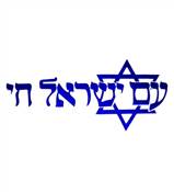 ISRAEL T-SHIRT- AM ISRAEL CHAI