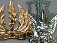 Army Badges