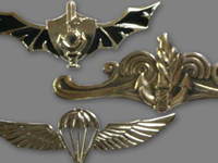 Army Insignias