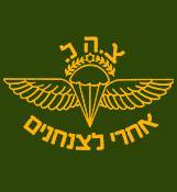 ISRAEL ARMY- YELLOW PARATROOPS_COPY