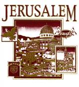JERUSALEM TOWER OF DAVID SHIRT