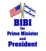 BIBI T Shirt