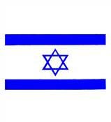 CLASSIC ISRAEL FLAG - SHIRT