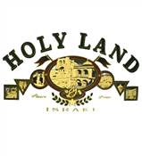 HOLY LAND T SHIRT