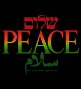 COLORFUL PEACE ISRAEL SHIRT