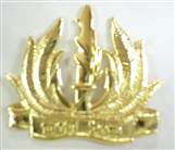 ISRAEL NAVY BADGE