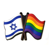 Israel & Pride flags magnet