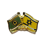 ISRAEL AND ISRAEL AIR FORCE PIN 