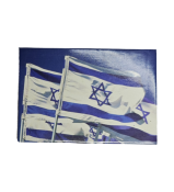 ISRAEL FLAGS MAGNET