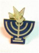 A MENORAH &DOVE PIN 