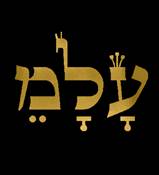 "KABBALAH GOLD LETTERS SHIRT - "ALAM