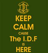 KEEP CALM I.D.F T-SHIRT