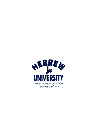 HEBREW UNIVERSITY SHIRT