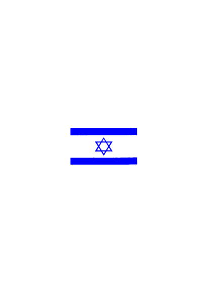 CLASSIC ISRAEL FLAG - SHIRT