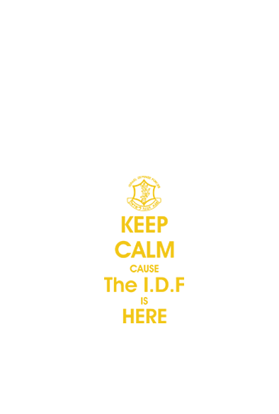 KEEP CALM I.D.F T-SHIRT