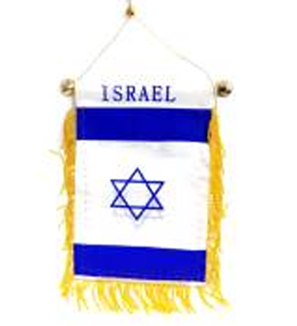 ISRAELI FLAG MINI BANNER