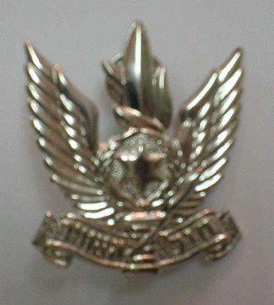 AIR FORCE BADGE