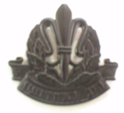 ISRAEL INTELLIGENCE UNIT BADGE