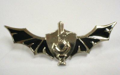 SQUADRON 13 PIN 