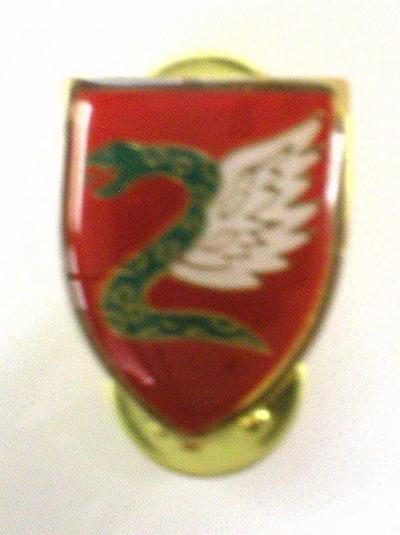 TZANCHANIM PIN