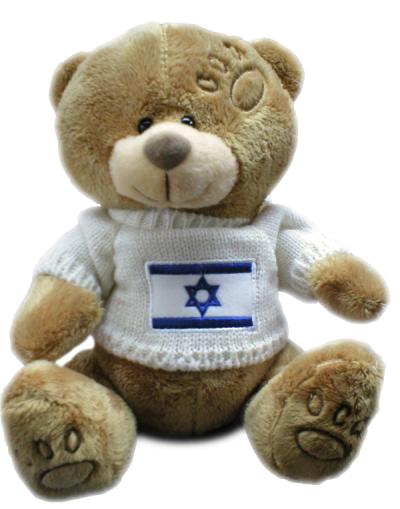 A TEDDY BEAR WITH AN ISRAELI FLAG