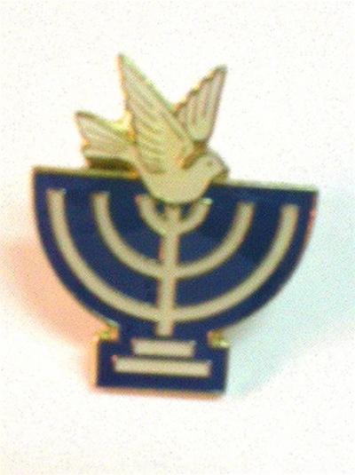 A MENORAH &DOVE PIN 