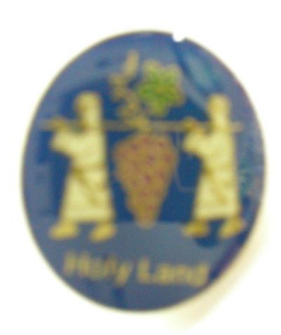 HOLY LAND INFORMERS PIN